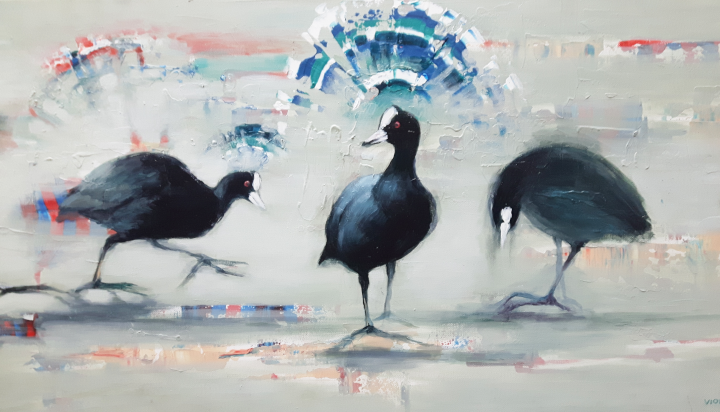 2019 Coot  - detail