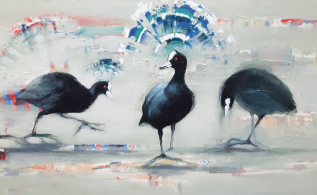 2019 Coot  - detail