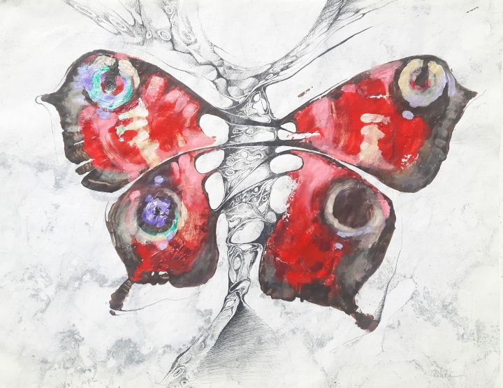 2020 Butterfly 80 x 55 cm