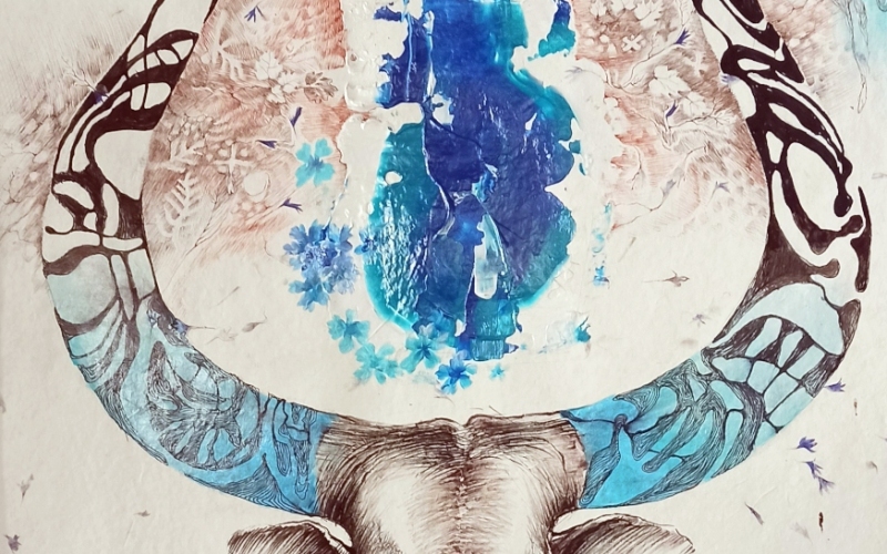 1_Horns_2024