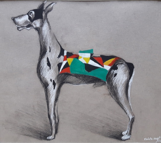2016 Colorful dog