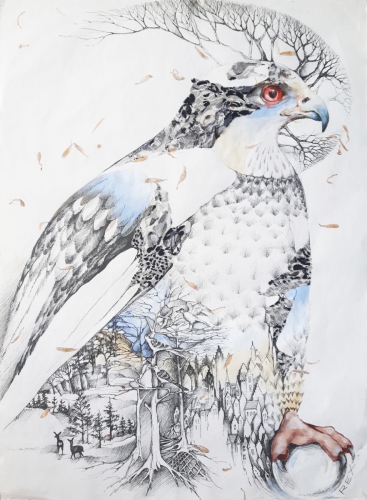 2020 Rex 55 x 80 cm
