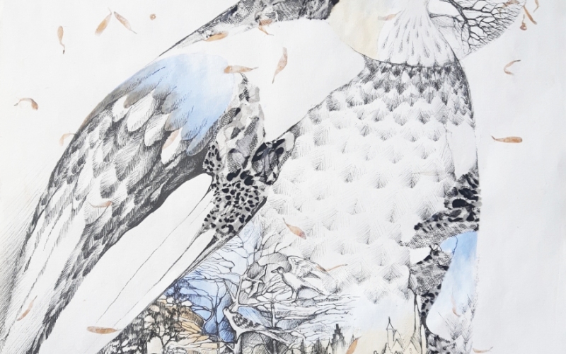 2020 Rex 55 x 80 cm