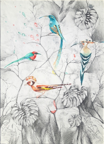 2019 Birds of Paradise 55 x 80 cm