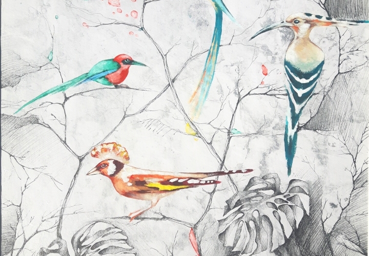 2019 Birds of Paradise 55 x 80 cm