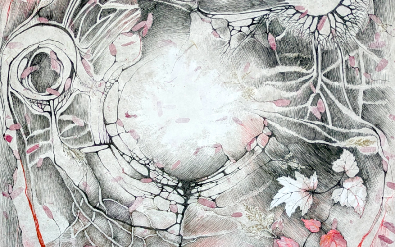 Circumference-II-2026