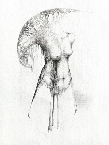 2020 Gown I 55 x 65 cm