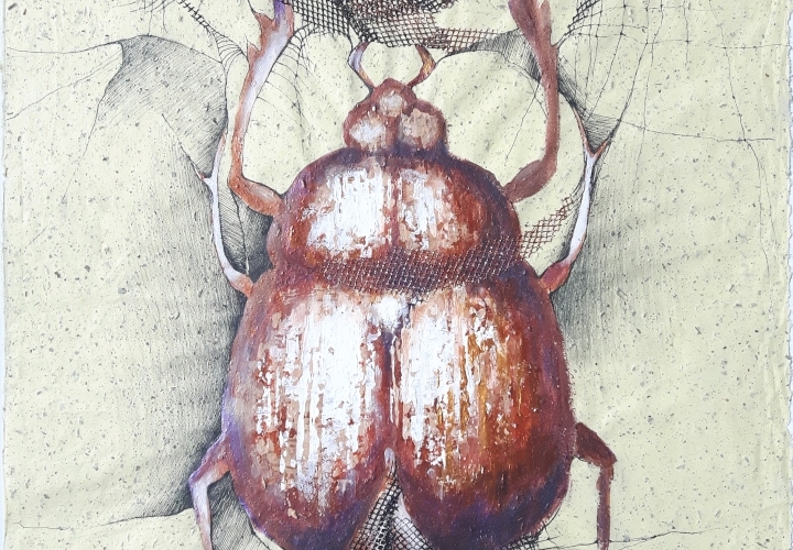 2019 Scarab 50 x 70 cm