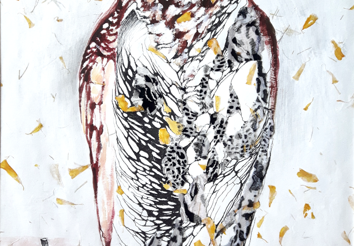 2019 Owl 45 x 75 cm