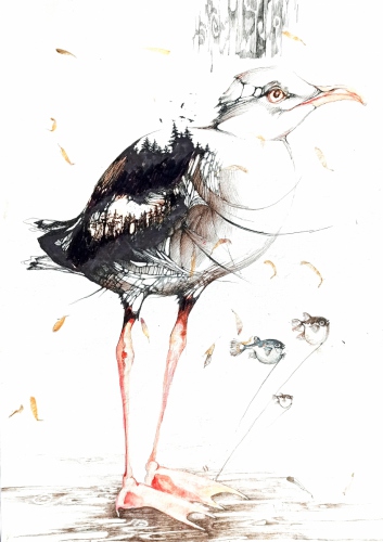 gull_40x55_2021_b